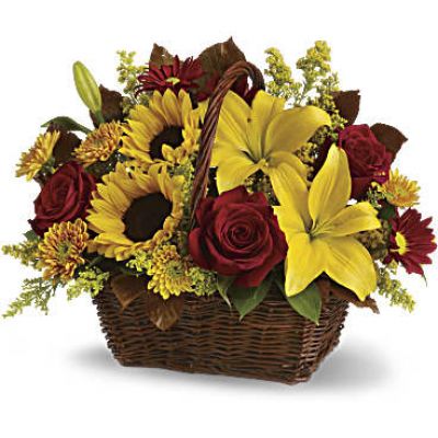 <div id="mark-3" class="m-pdp-tabs-marketing-description">Send warm autumn sunshine to a special friend or relative with this golden gift basket of flowers. Yellow lilies and sunflowers make everyone smile!</div>
 
<div id="desc-3">
<ul>
 	<li>A dark, handled basket presents bright fall bouquet of yellow asiatic lilies, yellow sunflowers, gold cushion mums, burgundy daisies, yellow solidaster, brown copper beech leaves and rich green salal.</li>
</ul>
</div>