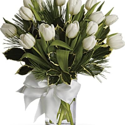 <ul id="tabs-pdp" class="nav nav-tabs" data-tabs="tabs">
 	<li id="descriptionTab" class="active"><a href="https://www.teleflora.com/bouquet/tulips-and-pine?prodID=P_T12Z114A&skuId=T12Z114A&zipMin=&showAllSkus=true#description" data-toggle="tab">DESCRIPTION</a></li>
 	<li id="sizesTab"><a href="https://www.teleflora.com/bouquet/tulips-and-pine?prodID=P_T12Z114A&skuId=T12Z114A&zipMin=&showAllSkus=true#sizes" data-toggle="tab">SIZES</a></li>
</ul>
<div id="tabs-pdp-content" class="tab-content">
<div id="description" class="tab-pane fade active">
<div id="mark-3" class="m-pdp-tabs-marketing-description">Give a gift of simple winter beauty. Send a bouquet of white tulips that are as pure as fresh-fallen snow, accented with just a touch of fragrant white pine. It's the essence of the season, captured in a vase.</div>
</div>
</div>