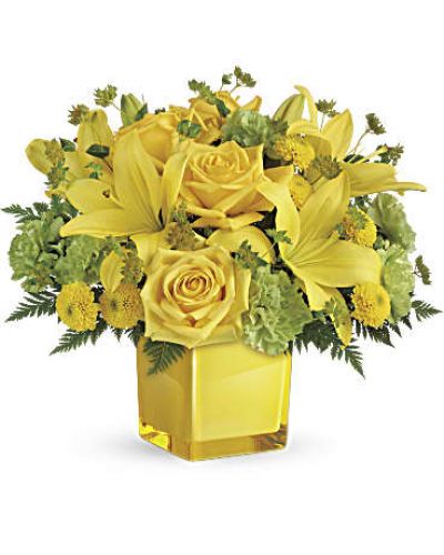<p>You can't help but smile at these bright, beautiful blooms! Like a ray of sunshine, this golden mix of roses and lilies, presented a glass cube, will put anyone in a marvelous mood.<br />
This bright bouquet includes yellow roses, yellow asiatic lilies, green carnations, yellow button spray chrysanthemums, bupleurum and leatherleaf fern.</p>