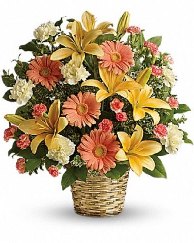 <div class="m-pdp-tabs-description">
<div id="mark-1" class="m-pdp-tabs-marketing-description">
<p>Bring warmth to anyone with this basket of sunshine.</p>
<p>A radiant arrangement of light, this bouquet of lilies, gerberas and carnations is a comforting reminder of your support and affection.
</p></div>
</div>
<p>This sentimental favorite features peach asiatic lilies, peach gerberas, crème carnations and minature orange carnations with fresh green oregonia and lemon leaf. Deilvered in a natural woven basket.</p>