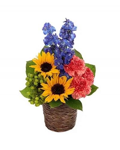 <p>Bold & Beautiful sunflowers capture immediate attention in this imaginatively designed bouquet. Lovely blue delphinium, orange carnations and green hypericum augment the sunny design all brought together in a dark brown basket.</p>