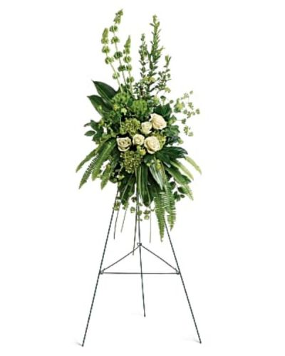 <div id="mark-1" class="m-pdp-tabs-marketing-description">Peaceful white roses and gorgeous green hydrangea create an unforgettably elegant spray that brings a sense of modern tranquility to the service.</div>
<div id="desc-1">
<ul>
<li>This tranquil spray of miniature green hydrangea, green roses, green trick dianthus, and bells of Ireland is accented with bupleurum, myrtle, sword fern, variegated aspidistra leaves, aralia leaf, bear grass, and lemon leaf.</li>
</ul>
</div>