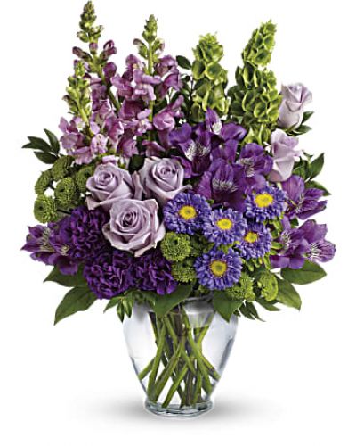 <div id="mark-3" class="m-pdp-tabs-marketing-description">Charmed, I'm sure! Win their hearts with this winsome bouquet of luxurious lavender blooms and delightful bells of Ireland, hand-delivered in a graceful glass vase.</div>
<p>&nbsp;</p>
<div id="desc-3">
<ul>
<li>This lovely bouquet features lavender roses, purple alstroemeria, purple carnations, lavender matsumoto asters, green button spray chrysanthemums, lavender snapdragons, bells of Ireland, huckleberry and lemon leaf.</li>
<li>Delivered in a clear glass vase.<br />
<hr />
</li>
</ul>
</div>