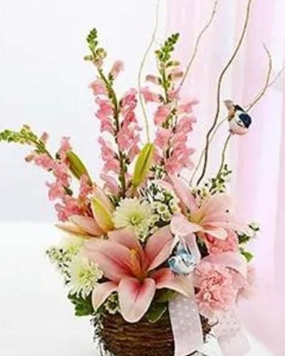 <p>Capture their inner nesting instinct with this Welcome to the World Arrangement sure to delight the new parents. A charming bird's nest basket is filled with a gorgeous arrangement of lilies, snapdragons, carnations and more designed in a charming bird's nest basket and accented with stylish ribbon and a pair of playful bird picks.</p>