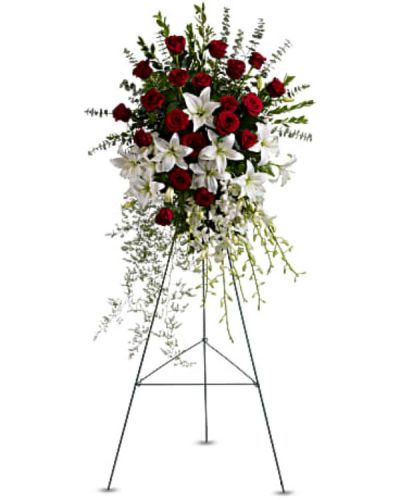 <div id="mark-1" class="m-pdp-tabs-marketing-description">Make a statement of enduring love and tribute with this dramatic lily and rose funeral spray, presented on an easel for ease of placement. Red roses, white lilies and cascading white orchids are elegant funeral flowers fit to honor someone truly special.</div>
<div id="desc-1">
<ul>
<li>Red roses, white asiatic lilies and delicate dendrobium orchids are accented with myrtle, sprengeri fern, leatherleaf fern and spiral eucalyptus on a traditional wire funeral easel.</li>
</ul>
</div>