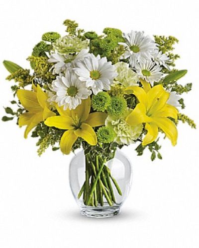 <div class="m-pdp-tabs-description">
<div id="mark-1" class="m-pdp-tabs-marketing-description">Let the sunshine in with this bevy of bright blooms - yellow lilies, green carnations and other sunny favorites beautifully arranged in a classic ginger jar. Perfect for birthday, get well, thank you - or just to say "Hi!" They'll love it.</div>
</div>
<p id="arrngDescp">This impressive bouquet includes yellow asiatic lilies, green carnations, white daisy spray chrysanthemums and green button spray chrysanthemums accented with assorted greenery.</p>