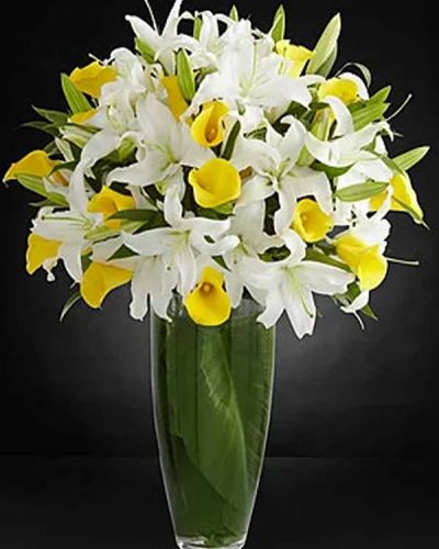 <p>Abundance abounds in this uplifting luxury lily bouquet. Stems of large and fragrant Oriental Lilies flaunt their grace and beauty amongst brilliantly bright yellow calla lilies. Gorgeously situated in a superior clear glass bullet vase, this stunning bouquet has been picked fresh for you to create a spirited expression of cheerful bliss helping you celebrate birthdays, express your thanks and gratitude, or send your warmest get well wishes.</p>